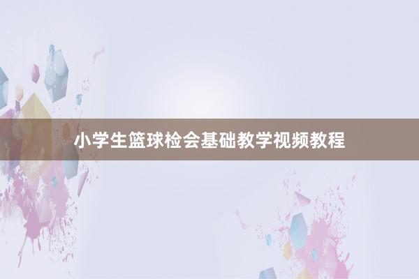 小学生篮球检会基础教学视频教程